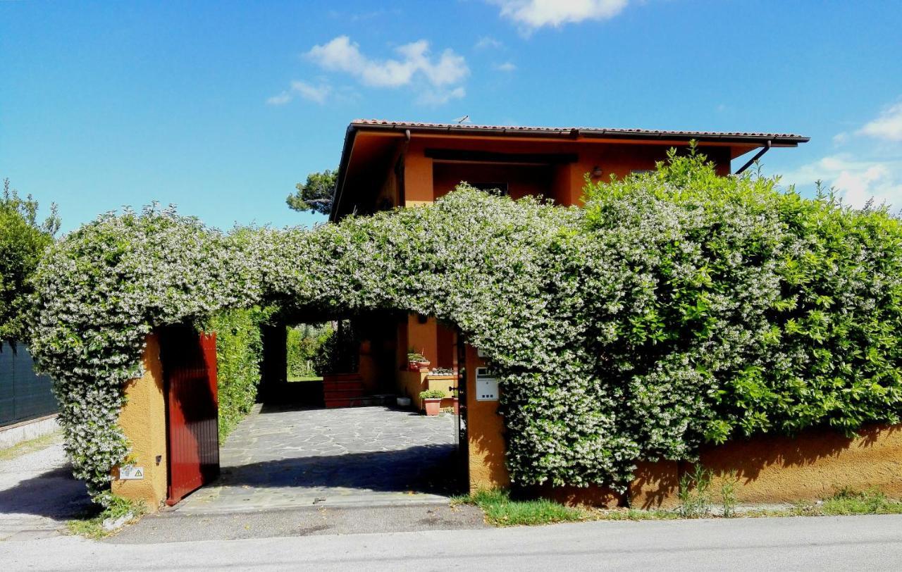 Il Gelsomino Villa Forte dei Marmi Dış mekan fotoğraf