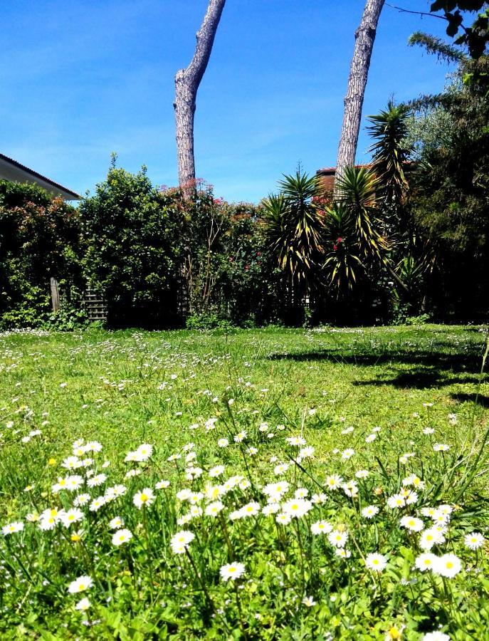 Il Gelsomino Villa Forte dei Marmi Dış mekan fotoğraf